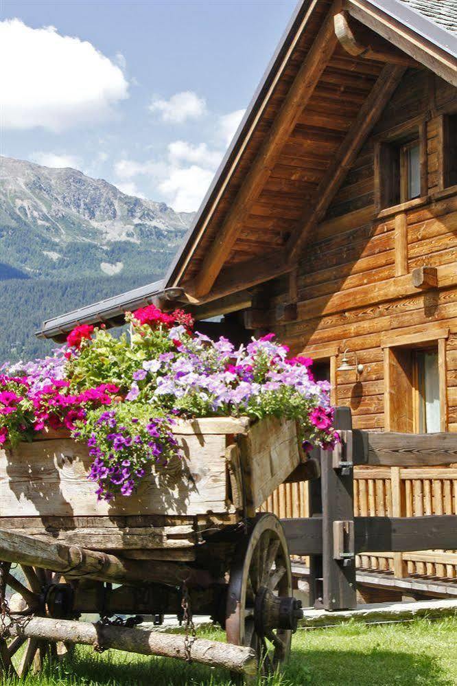 Chalet Teo E Marianna Bormio Exteriér fotografie